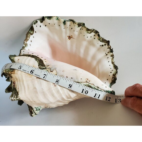 60s Lg Natural Queen Conch Seashell 12"x9"x6.5" Coral Pink Handpainted Vtg Shell - Picture 11 of 16